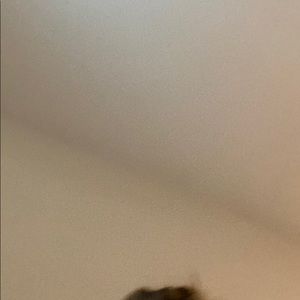 Meet your Posher, Savanna